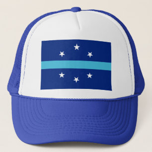 Flagge von Anaheim, Kalifornien Truckerkappe
