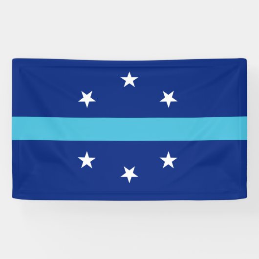 Flagge von Anaheim (Kalifornien, USA) Banner (Horizontal)