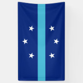 Flagge von Anaheim (Kalifornien, USA) Banner (Vertikal)