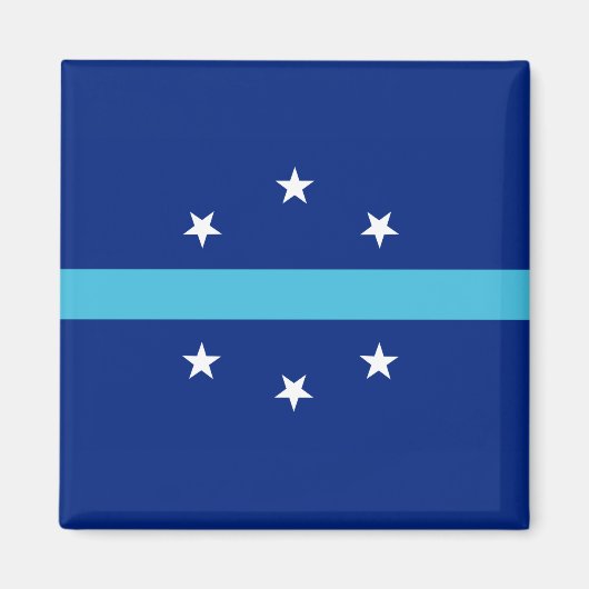 Flagge von Anaheim (Kalifornien, USA) Magnet (Vorne)