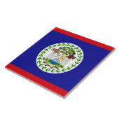 Flagge von Belize Fliese (Seite)