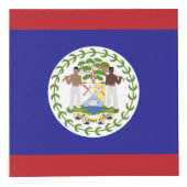 Flagge von Belize Würfel (Vorderseite)