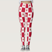 Flagge von Birmingham, Leggings Alabama (Vorderseite)