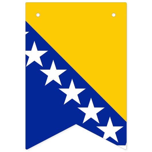 Flagge von Bosnien und Herzegowina (Zweite Fahne)