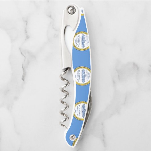 Flagge von Boston, Korkenzieher von Massachusetts (Vorderseite)