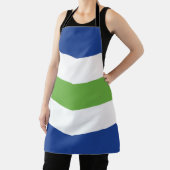 Flagge von Burlington, Vermont Schürze (InSitu)