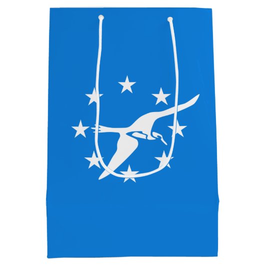 Flagge von Corpus Christi, Texas Mittlere Geschenktüte (Rückseite)