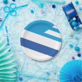 Flagge von Dayton, Ohio Pappteller (Party)