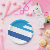 Flagge von Dayton, Ohio Pappteller (Party)