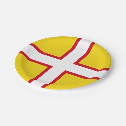 Flagge von Dorset Paper-Tellern Pappteller (Schrägansicht)