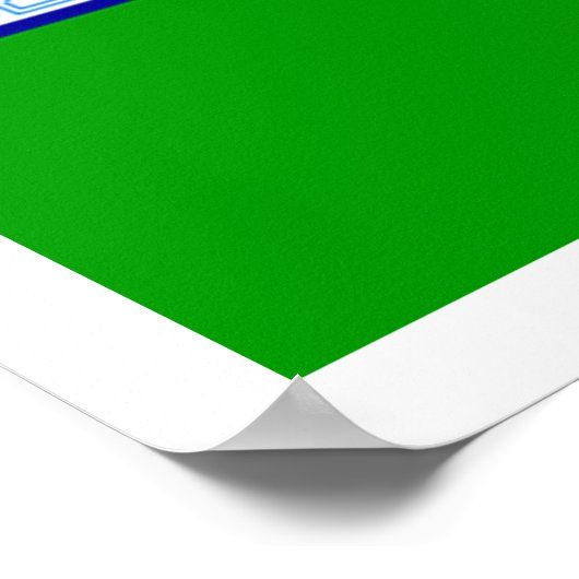 Flagge von Dublin Poster (Ecke)