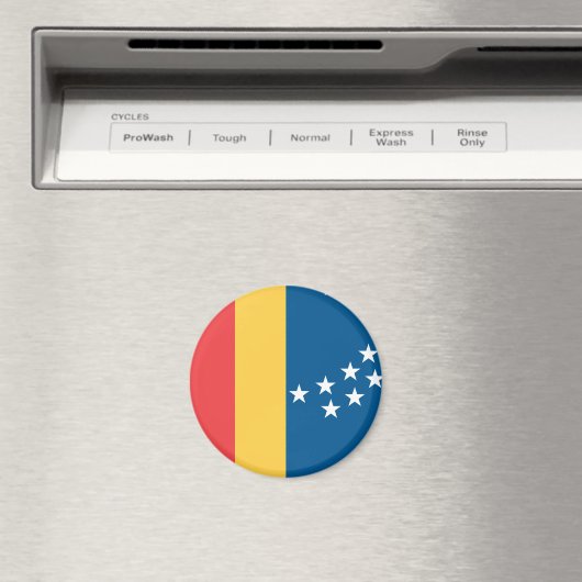 Flagge von Durham, North Carolina Magnet (In Situ (Geschirrspüler))