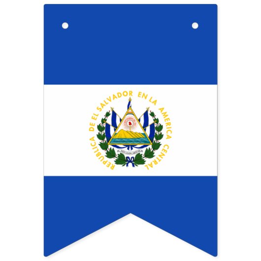 Flagge von El Salvador (Zweite Fahne)