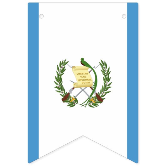 Flagge von Guatemala (Zweite Fahne)
