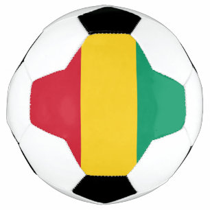 Flagge von Guinea Fußball