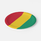 Flagge von Guinea Pappteller (Schrägansicht)