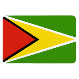 Flagge von Guyana Magnet