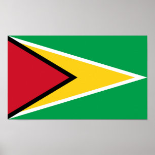 Flagge von Guyana Poster