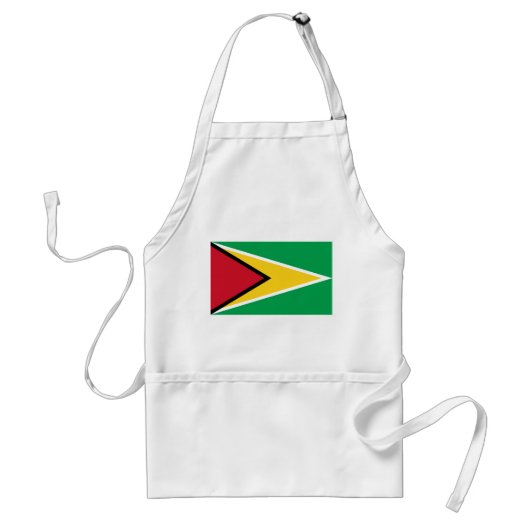 Flagge von Guyana Schürze (Vorne)