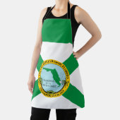 Flagge von Hollywood, Florida Schürze (InSitu)