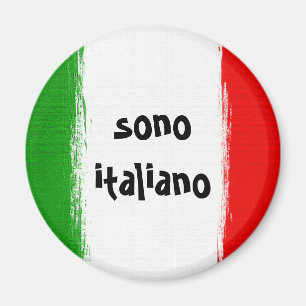Flagge von Italien. I Liebe Italien Magnet
