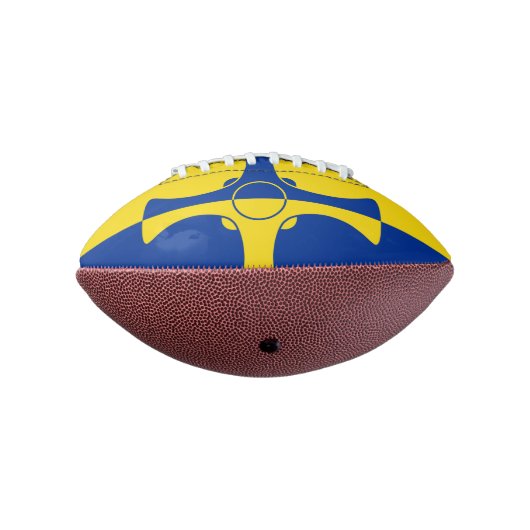 Flagge von Landkreis Minifußball Durhams, England Football (Gedreht 270)