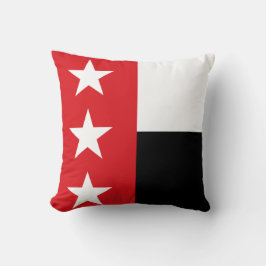 Flagge von Laredo (Texas) Kissen
