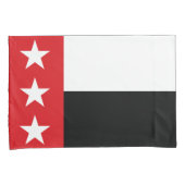 Flagge von Laredo (Texas) Kissenbezug (Vorderseite-Rechts)