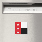 Flagge von Laredo (Texas) Magnet (In Situ (Geschirrspüler))