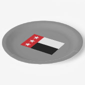 Flagge von Laredo (Texas) Pappteller (Schrägansicht)
