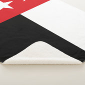 Flagge von Laredo (Texas) Sherpadecke (3/4)