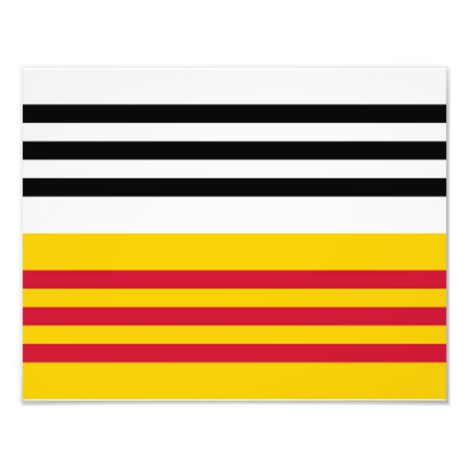 Flagge von Loon op Zand Fotodruck (Vorne)