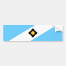 Flagge von Madison (Wisconsin)