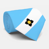 Flagge von Madison (Wisconsin) Krawatte (Gerollt)