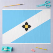 Flagge von Madison (Wisconsin) Seidenpapier (Basteln)