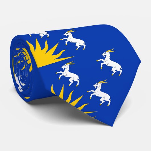 Flagge von Merionethshire Neck Tie Krawatte (Gerollt)