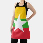 Flagge von Myanmar Schürze (InSitu)