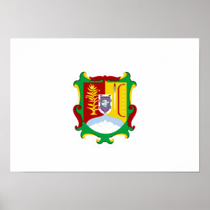 Flagge von Nayarit Poster