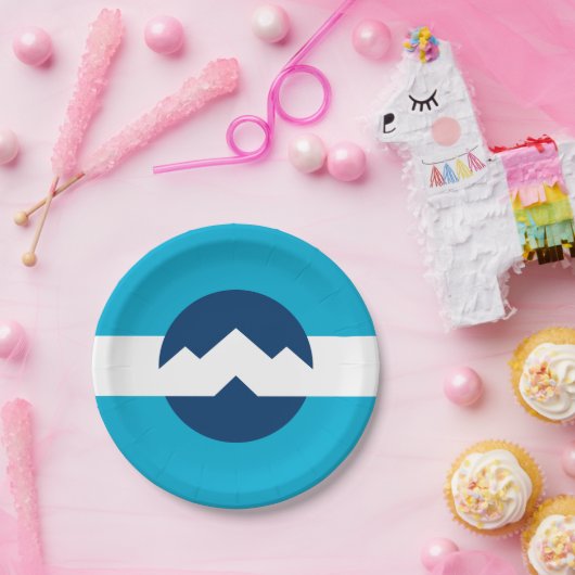 Flagge von Ogden, Utah Pappteller (Party)