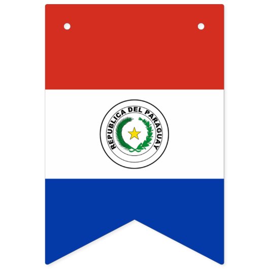 Flagge von Paraguay (Erste Fahne)