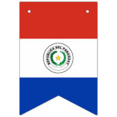 Flagge von Paraguay (Dritte Fahne)