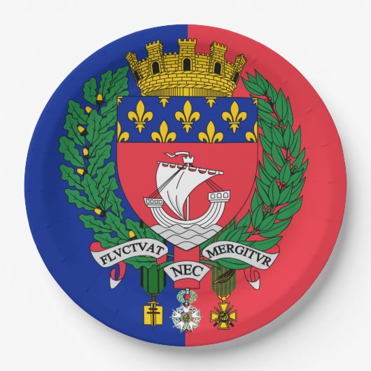 Flagge von Paris, Frankreich Pappteller (Vorderseite)