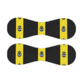 Flagge von Pittsburgh, Pennsylvania Baseball (Paneele)