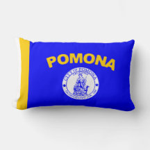 Flagge von Pomona (Kalifornien)