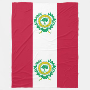 Flagge von Raleigh, North Carolina Fleece-Decke Fleecedecke