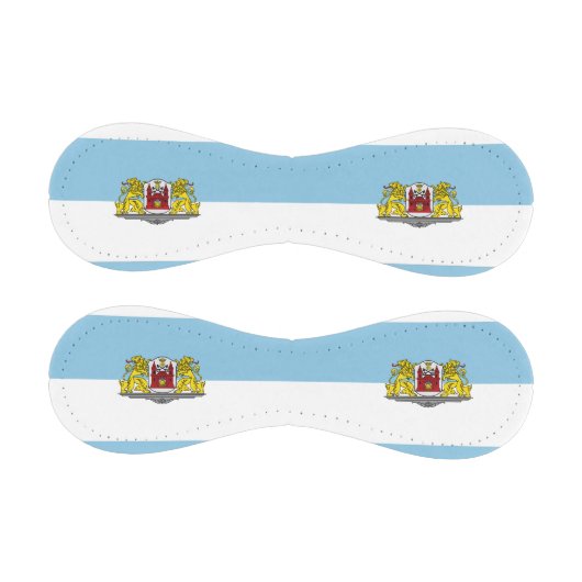 Flagge von Riga, Lettland-Baseball Baseball (Paneele)