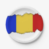 Flagge von Rumänien Pappteller (Vorderseite)