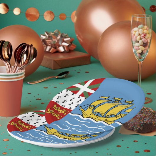 Flagge von Saint Pierre und Miquelon Pappteller (Multi)