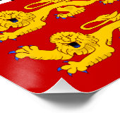 Flagge von Saint Pierre und Miquelon Poster (Ecke)