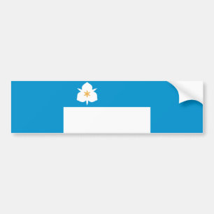 Flagge von Salt Lake City (Utah) Autoaufkleber